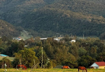 place