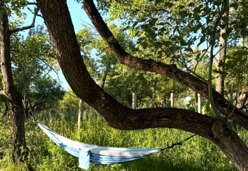 place