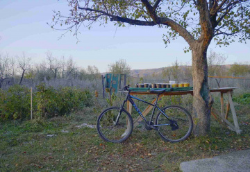 place