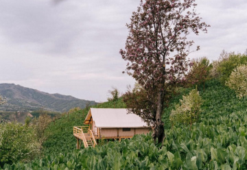 place